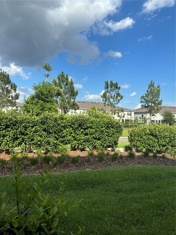 Building Photo - 31371 Amberview Bnd