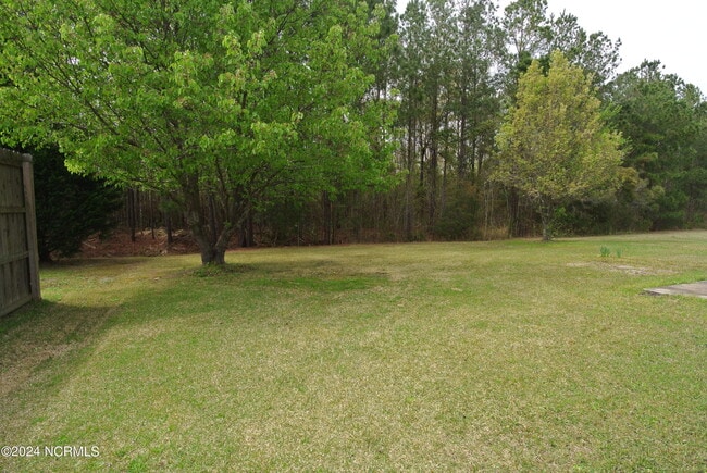 Building Photo - 1479 RaceTrack Rd