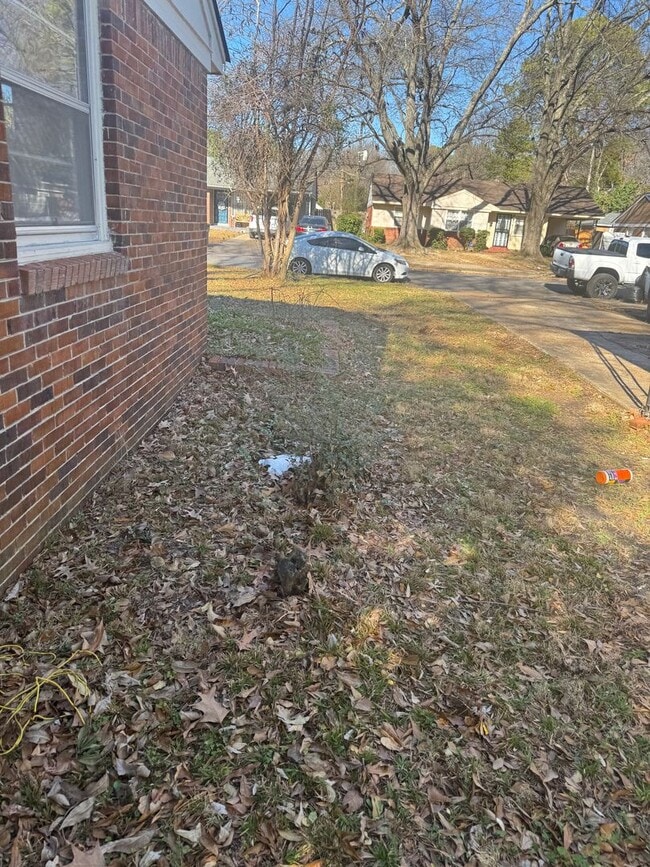 Building Photo - 510 S 19th St