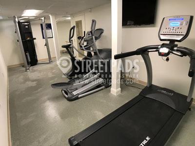 Building Photo - 1 bedroom in Cambridge MA 02138