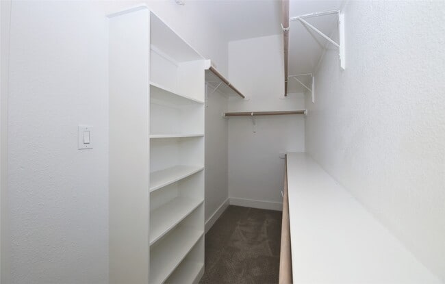 Building Photo - 3916 Tulane Oak Dr