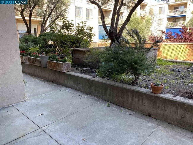 Building Photo - 440 N Civic Dr