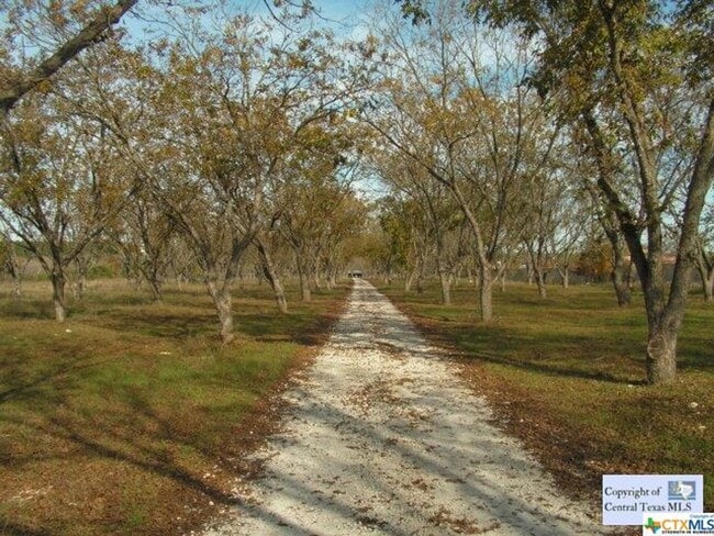 Building Photo - NEW ON MARKET /// RIVER FRONT CABIN AVAILABLE!!