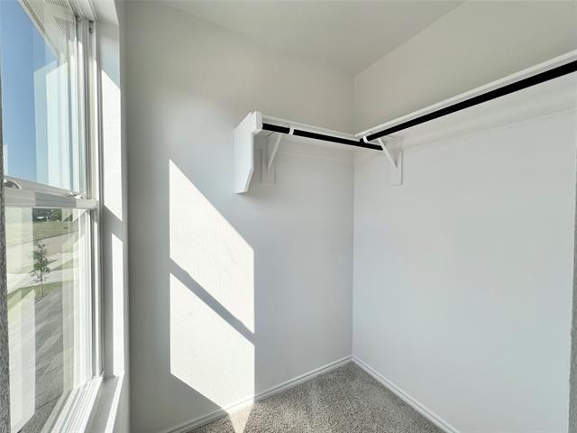 Building Photo - 825 Eagles Nest Dr