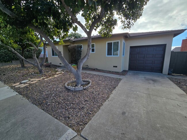 Primary Photo - 2bd 1ba Bay Park Home