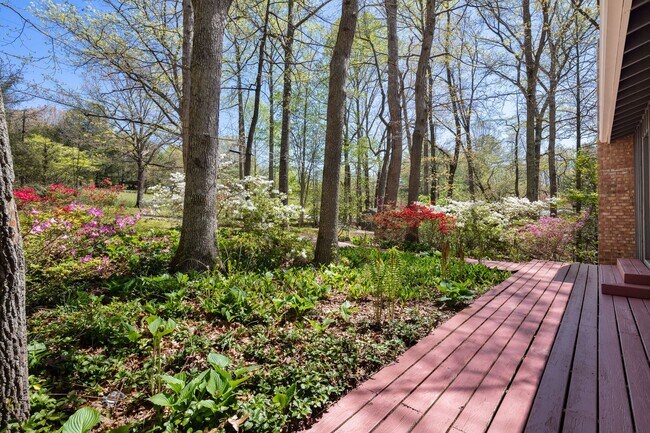 Building Photo - Lovely Home - Beautiful Wooded Setting