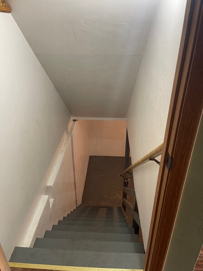 Basement stairs of kitchen - N176 State Park Rd