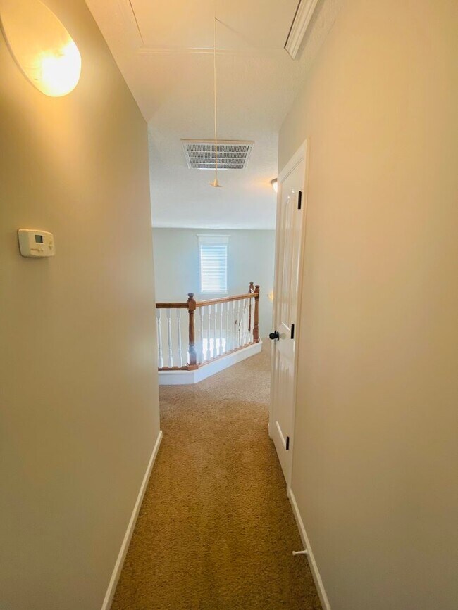 Building Photo - Charming Bonaire Rental!