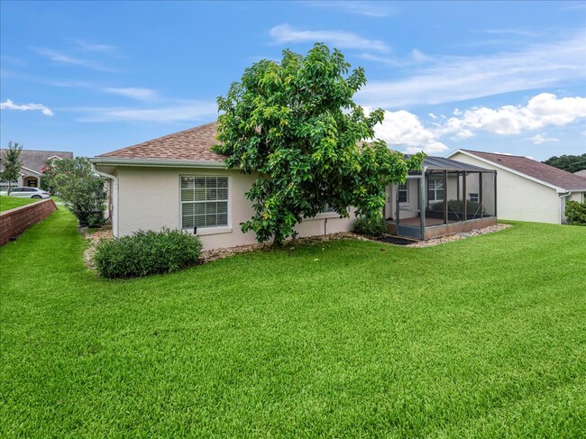 Avocado Tree Back Yard - 11025 SE 174th Loop