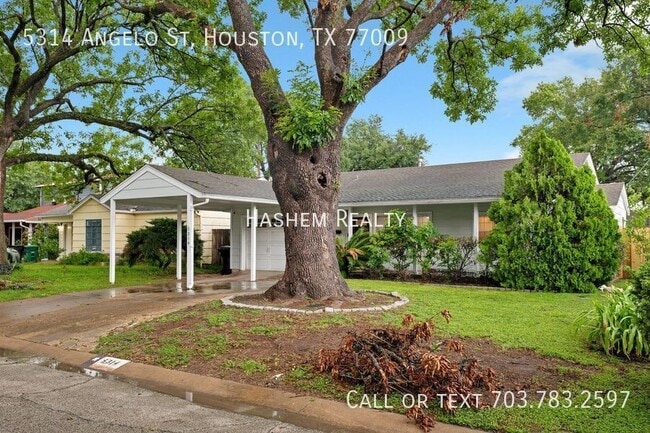 Building Photo - 5314 Angelo St