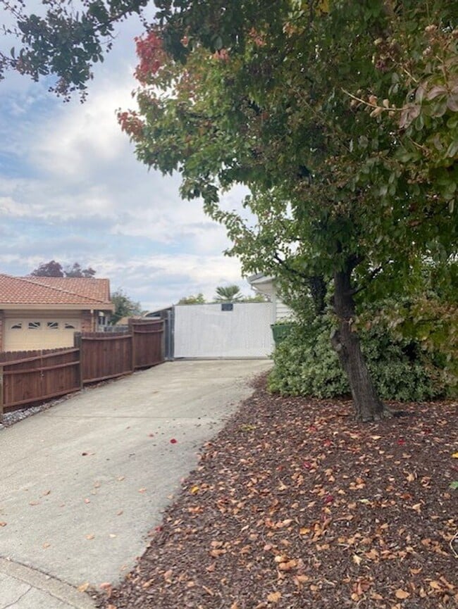 Building Photo - Beautiful Home w/ Pool - Country Oaks Subdivision