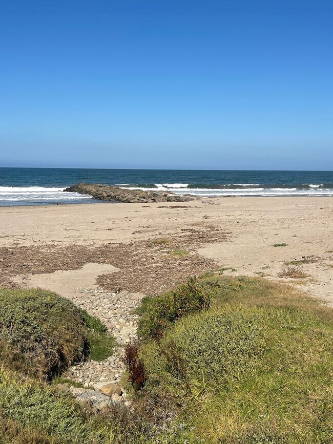 Building Photo - Classic Pierpont Beach House | 10-Month Lease | Just Steps to the Sand