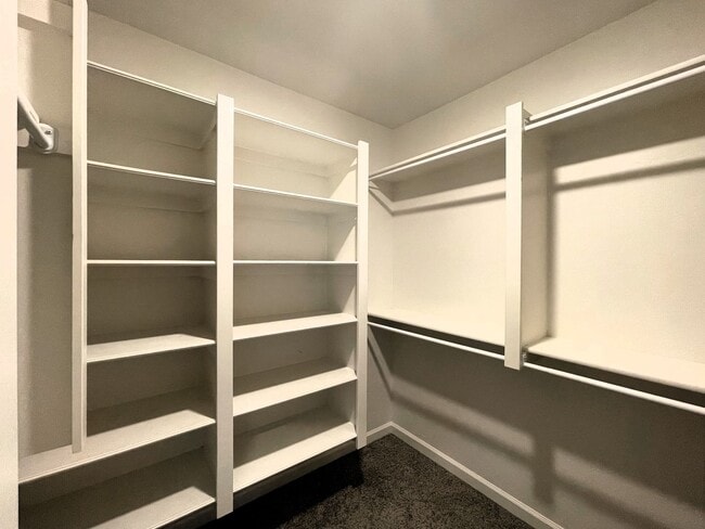 Building Photo - Contemporary Charm: Exceptional Home with ...