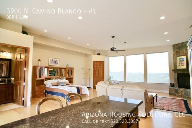 Building Photo - 3900 N Camino Blanco