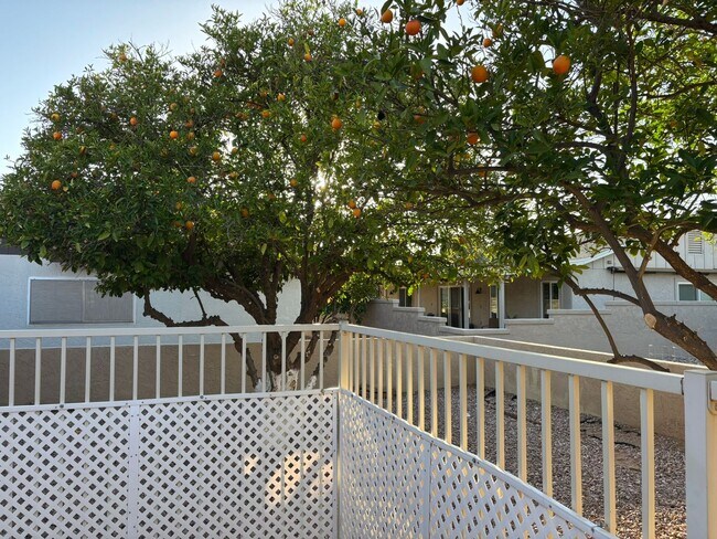Building Photo - 1681 Leisure World