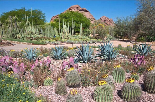 Building Photo - Scottsdale