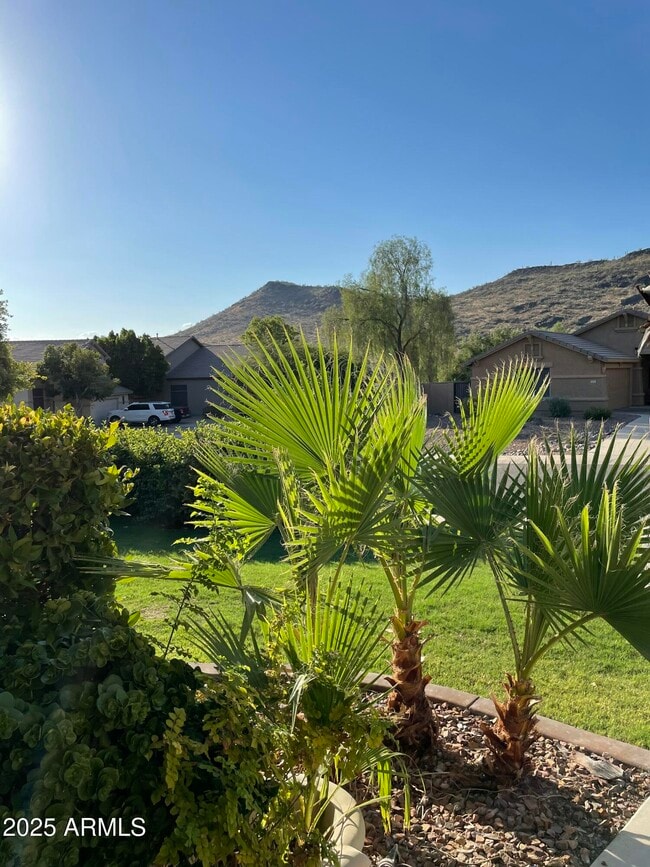 Building Photo - 4031 W Chisum Trail