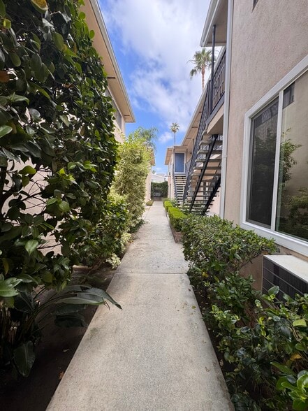 Abundant manicured planters create privacy - 1016 Western Ave