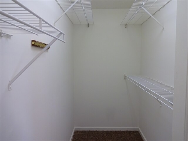 Building Photo - 3417 Summit Glen Dr