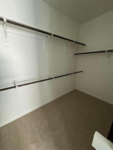 Building Photo - 1201 Indianola Trl
