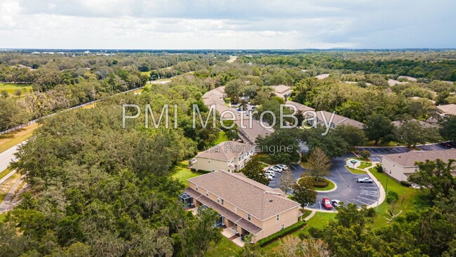 Building Photo - 15706 Fishhawk Falls Dr