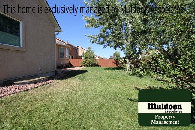 Building Photo - Coming soon! Gorgeous ranch style home in Soaring Eagles
