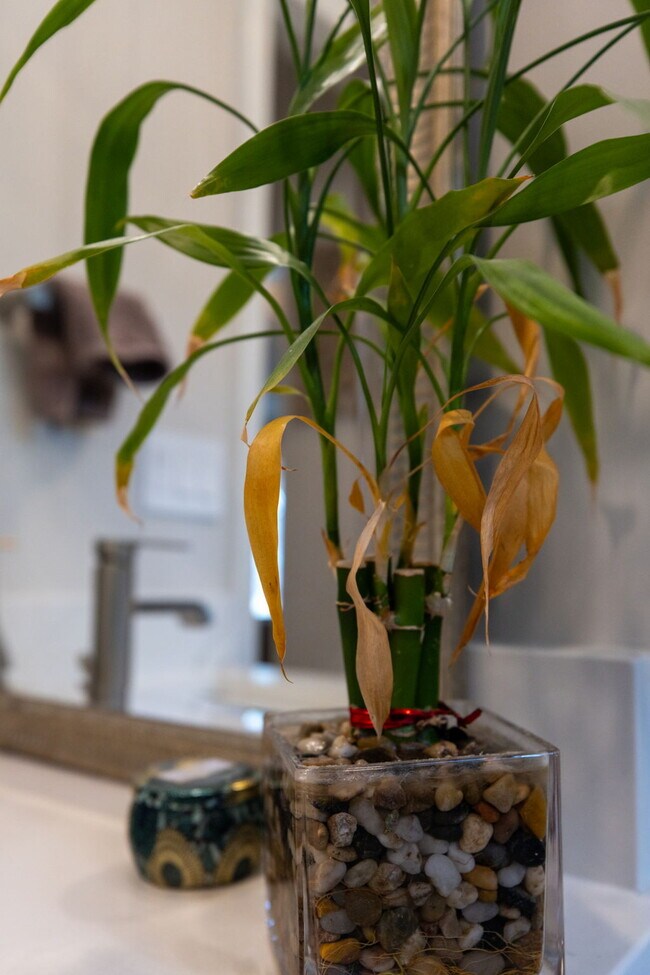 Building Photo - 6661 Woodson Dr