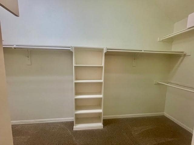 Building Photo - 9137 Ripley St