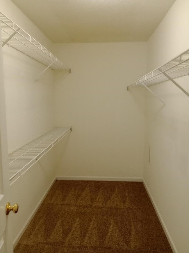 Building Photo - 3519 La Mesa Dr