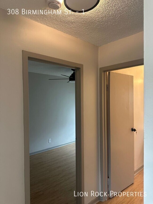 Building Photo - 308 Birmingham St