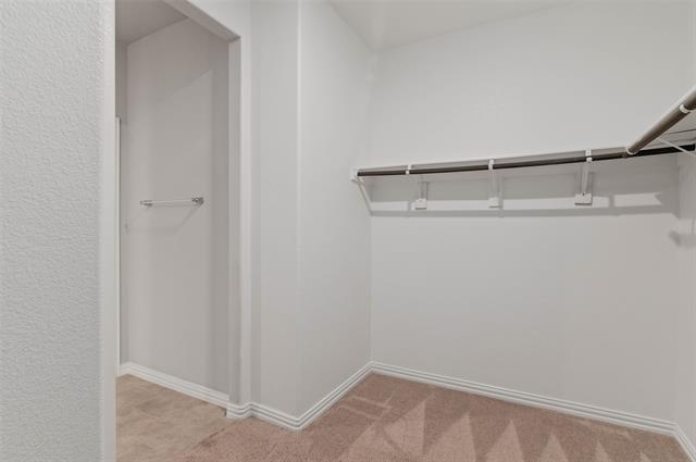 Building Photo - 2948 Plumbago Dr