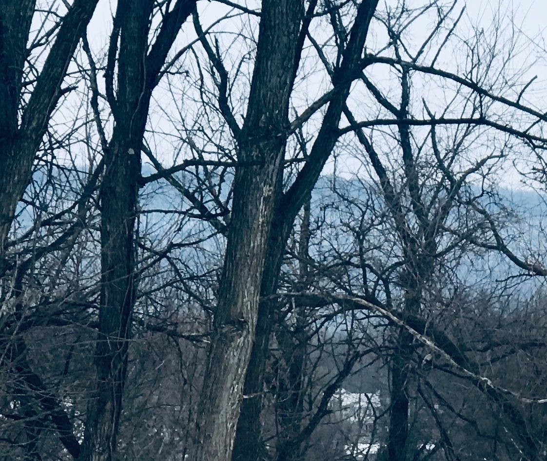 California Ranch overlooks scenic Blue Mountain! - 6012 Donlar St