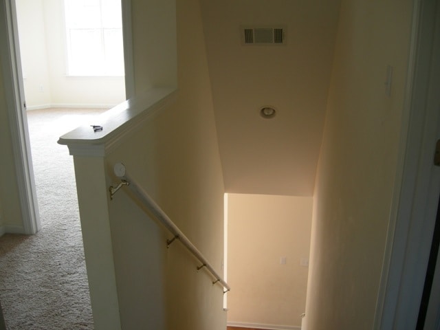 Building Photo - 311 Hayat Loop