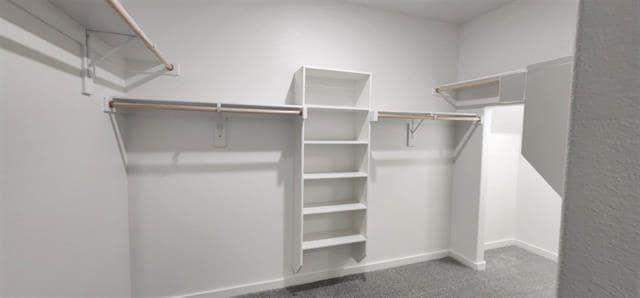 Building Photo - 708 Tidal Dr