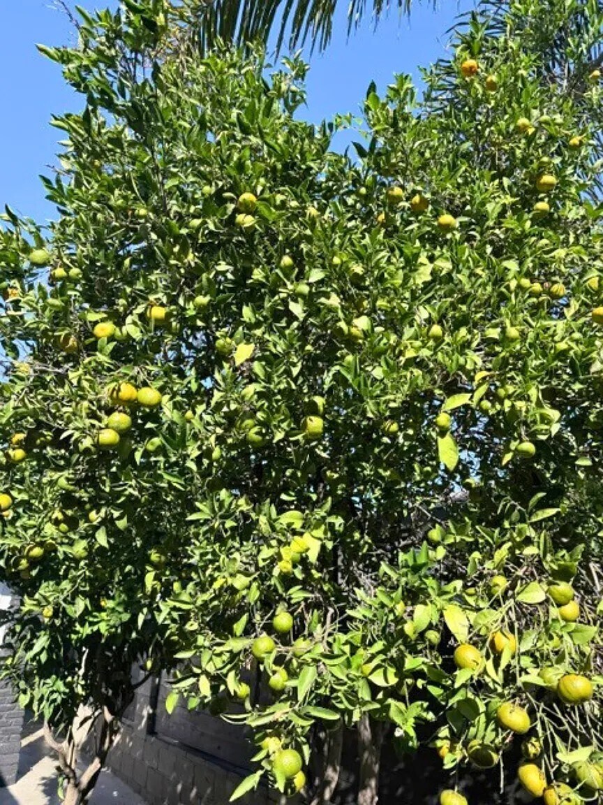 Building Photo - 715 Sunset Ave