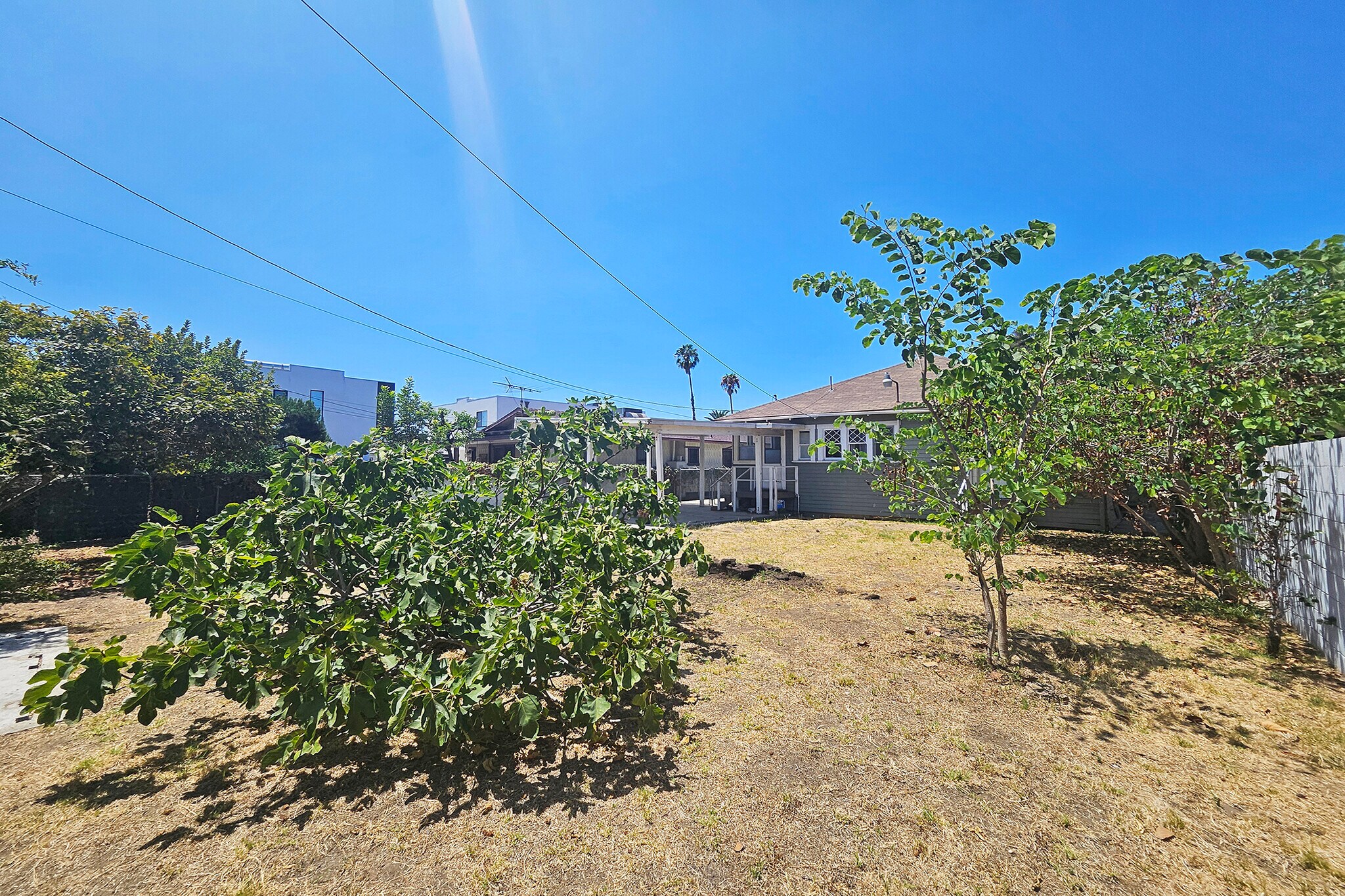 Building Photo - 648 N Heliotrope Dr
