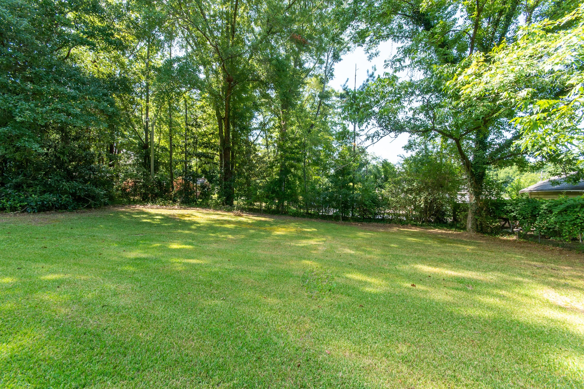Back yard - 36 Forrest St
