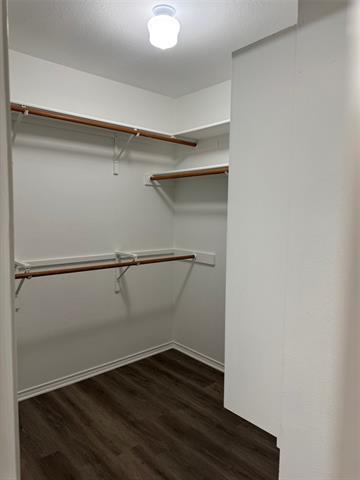 Building Photo - 1519 Hayloft Ln