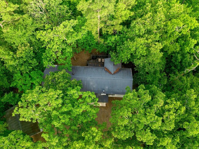 Building Photo - 47 White Pne Rd