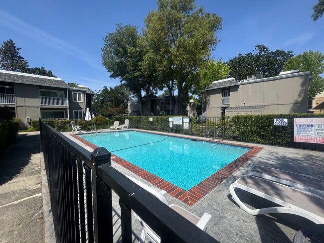 Building Photo - Gorgeous and Completely Remodeled Lower Level Unit with Inside Laundry is Available Now!