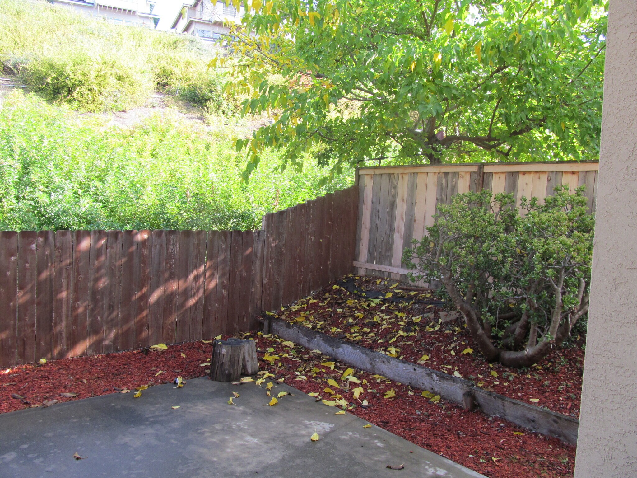 Yard - 11422 Madera Rosa Way