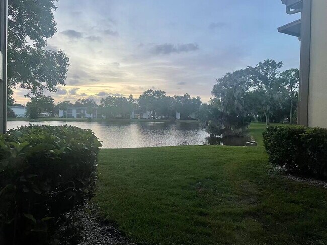 Building Photo - 217 Woodlake Wynde, Oldsmar, FL 34677