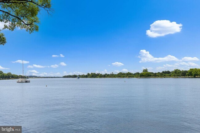 Building Photo - 1101 3rd St SW