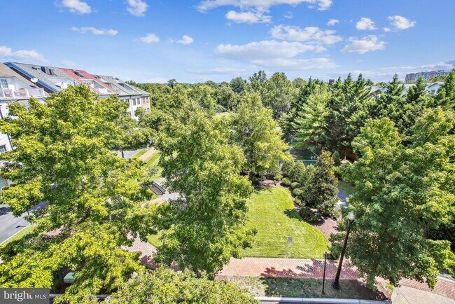 Building Photo - 1703 Potomac Greens Dr