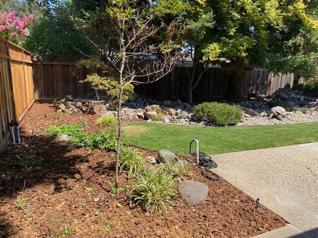 Another view of the backyard - 819 Midvale Ln