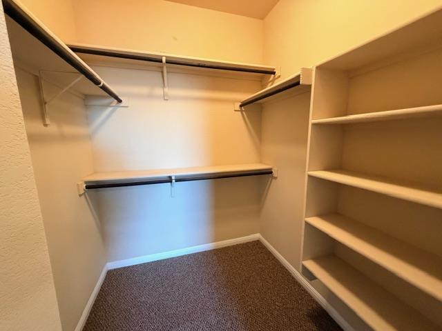 Building Photo - 1001 Zodiac Ln