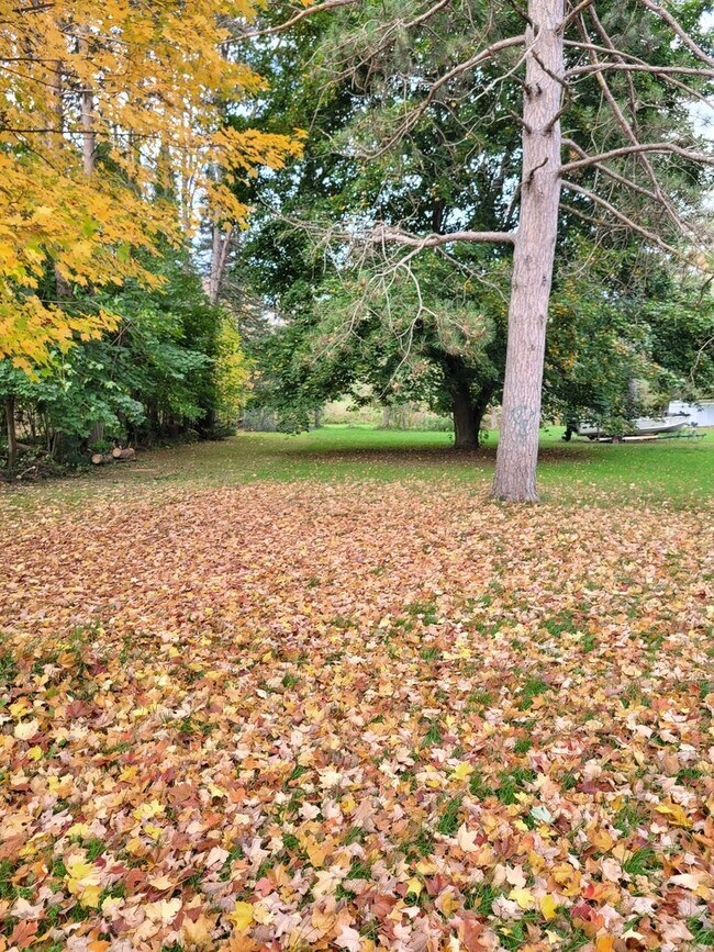 Building Photo - 3 Bed 1 Bath Single Family Home in Birnamwood