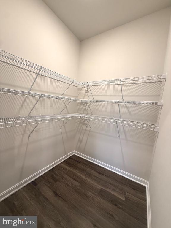 Building Photo - 328 Anconas Blvd