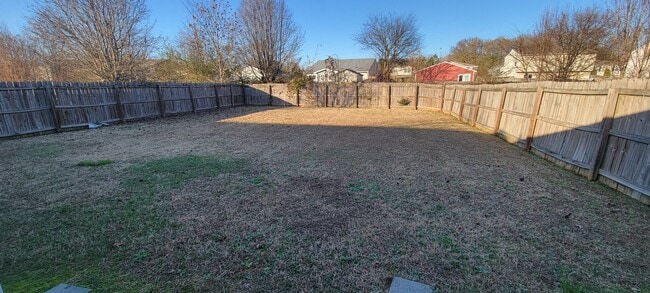 Backyard - 137 Carillo Ln