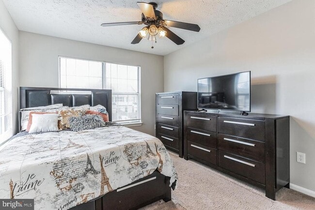 Building Photo - 6103 Red Squirrel Pl